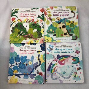 Usborne Are You There Book Bundle
